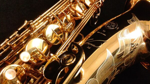 Yamaha Professional Alto Saxophone(Gold Color) - Image 2