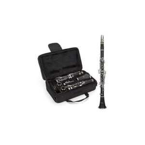 Professional Clarinet With Complete Accessory