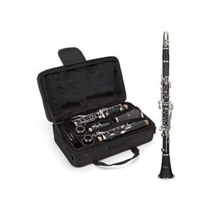 Professional Clarinet With Complete Accessory